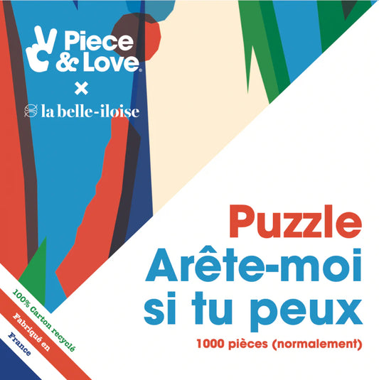 visuel de la boite du puzzle arete moi si tu peux